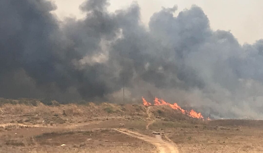 Reunión Nacional de Protección Civil en Baja California: Estrategias Contra Incendios Forestales